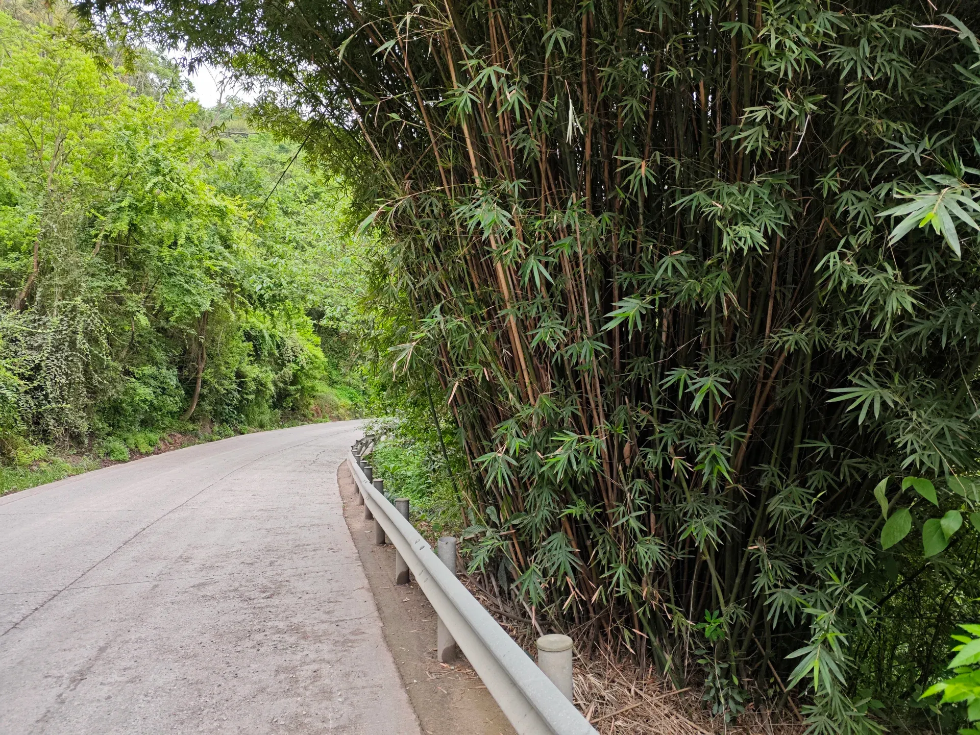 道路情况